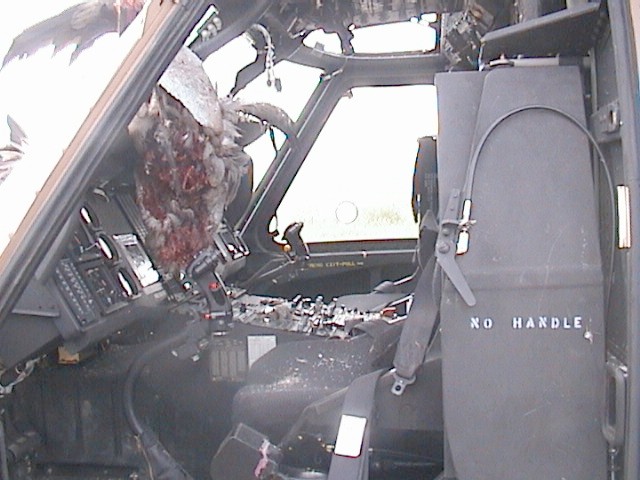 IAF UH-60 after birds strike