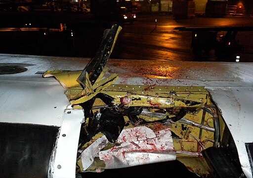  A damaged airplane wing with bird blood on the metal.